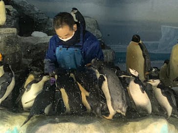 名古屋港水族館に投稿された画像（2022/8/14）