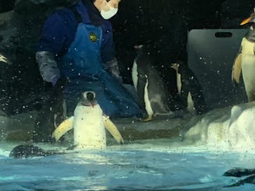 名古屋港水族館に投稿された画像（2022/8/14）