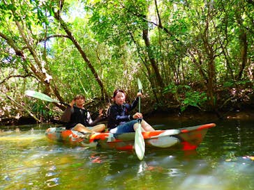 西表島 ADVENTURE PiPi（アドベンチャーピピ）に投稿された画像（2022/8/14）