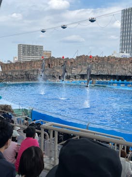 名古屋港水族館に投稿された画像（2022/8/14）