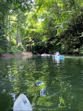 カヌーリゾートたまよどに投稿された画像（2022/8/14）
