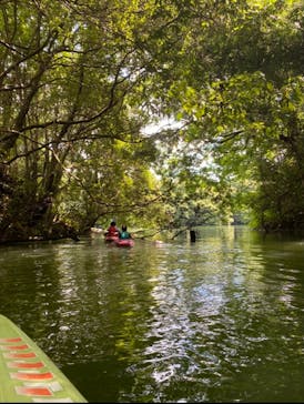 カヌーリゾートたまよどに投稿された画像（2022/8/14）
