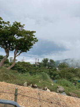 びわ湖バレイに投稿された画像（2022/8/14）