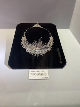 特別展「宝石　地球がうみだすキセキ」（名古屋市科学館　理工館地下２階イベントホール）に投稿された画像（2022/8/14）