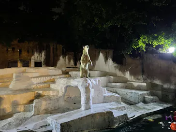 天王寺動物園に投稿された画像（2022/8/14）