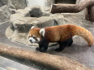 天王寺動物園に投稿された画像（2022/8/14）
