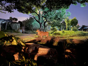 天王寺動物園に投稿された画像（2022/8/14）