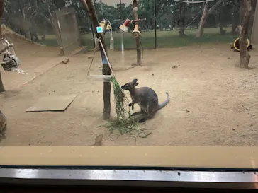 天王寺動物園に投稿された画像（2022/8/14）