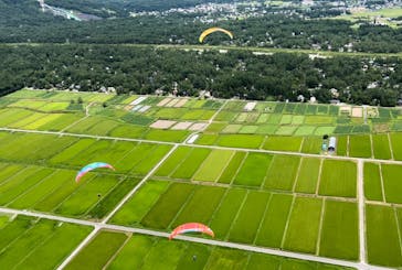 白馬パラトピア五竜パラグライダースクールに投稿された画像（2022/8/14）