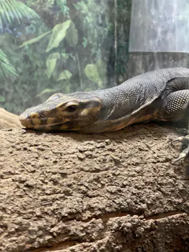 天王寺動物園に投稿された画像（2022/8/14）