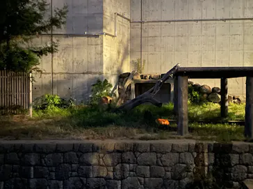 天王寺動物園に投稿された画像（2022/8/14）