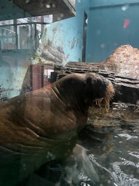 伊豆・三津シーパラダイスに投稿された画像（2022/8/14）