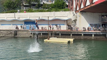 伊豆・三津シーパラダイスに投稿された画像（2022/8/14）