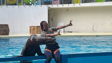 伊豆・三津シーパラダイスに投稿された画像（2022/8/14）