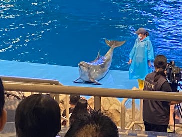 名古屋港水族館に投稿された画像（2022/8/14）