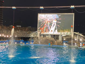 名古屋港水族館に投稿された画像（2022/8/14）