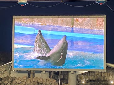 名古屋港水族館に投稿された画像（2022/8/14）