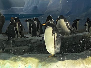 名古屋港水族館に投稿された画像（2022/8/14）