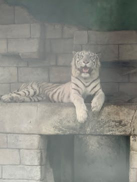 東武動物公園に投稿された画像（2022/8/14）