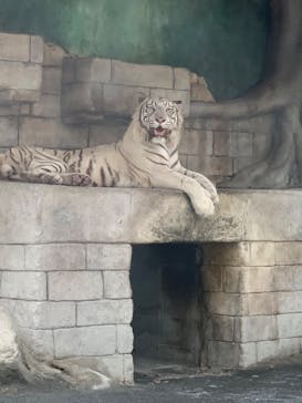 東武動物公園に投稿された画像（2022/8/14）