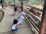 群馬サファリパークに投稿された画像（2022/8/14）