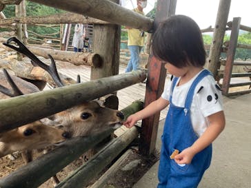 群馬サファリパークに投稿された画像（2022/8/14）