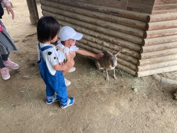 群馬サファリパークに投稿された画像（2022/8/14）