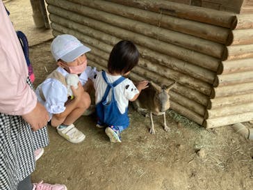 群馬サファリパークに投稿された画像（2022/8/14）