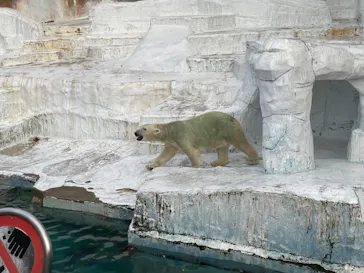 天王寺動物園に投稿された画像（2022/8/14）