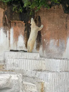 天王寺動物園に投稿された画像（2022/8/14）