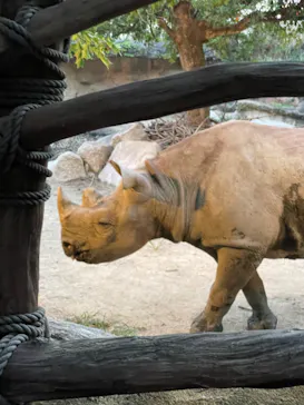 天王寺動物園に投稿された画像（2022/8/14）
