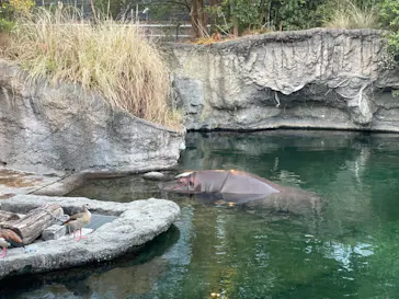 天王寺動物園に投稿された画像（2022/8/14）