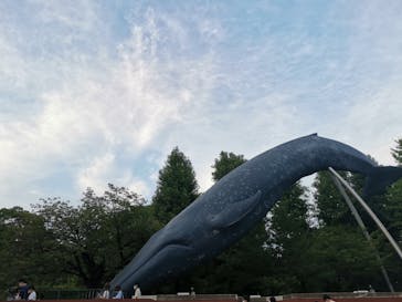 国立科学博物館に投稿された画像（2022/8/14）