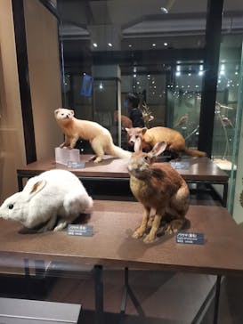 国立科学博物館に投稿された画像（2022/8/14）