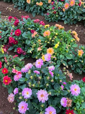 牧歌の里に投稿された画像（2022/8/14）