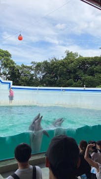 しながわ水族館に投稿された画像（2022/8/14）