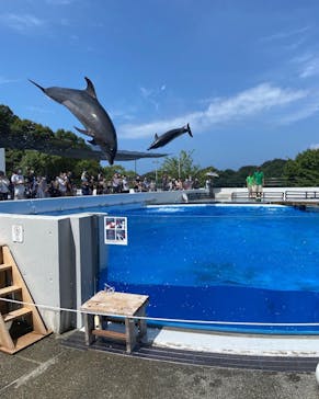 九十九島水族館海きららに投稿された画像（2022/8/14）