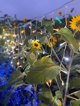 せんだい農業園芸センター　みどりの杜に投稿された画像（2022/8/14）