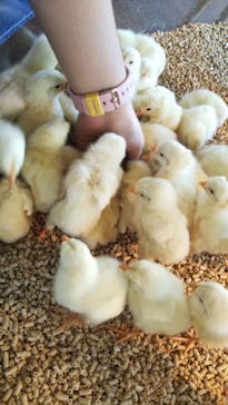 Moff animal cafe 小田原ダイナシティ店に投稿された画像（2022/8/14）