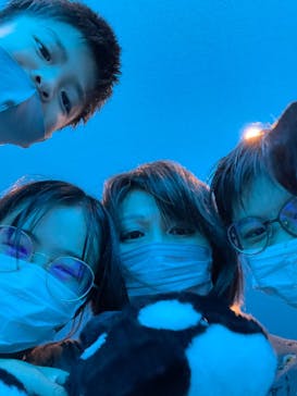 名古屋港水族館に投稿された画像（2022/8/14）