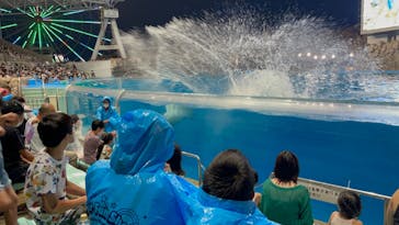 名古屋港水族館に投稿された画像（2022/8/14）
