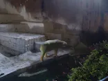 天王寺動物園に投稿された画像（2022/8/14）