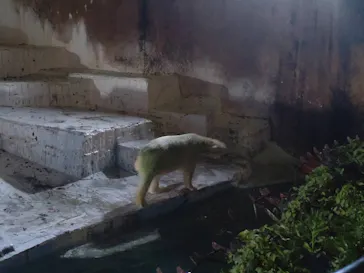 天王寺動物園に投稿された画像（2022/8/14）