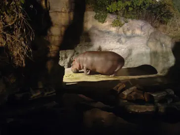 天王寺動物園に投稿された画像（2022/8/14）