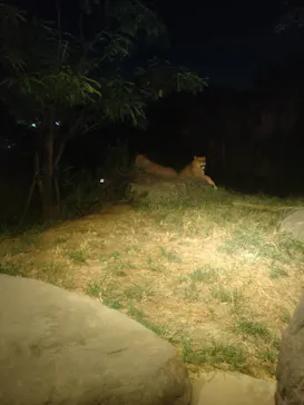 天王寺動物園に投稿された画像（2022/8/14）