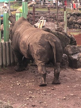 伊豆アニマルキングダムに投稿された画像（2022/8/14）