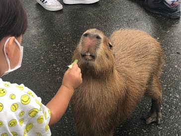 伊豆アニマルキングダムに投稿された画像（2022/8/14）