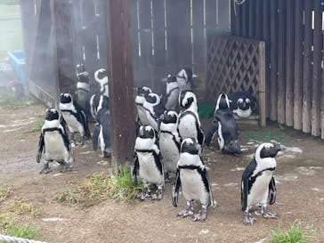 名古屋港水族館に投稿された画像（2022/8/14）