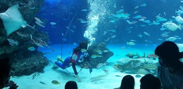 サンシャイン水族館に投稿された画像（2022/8/14）