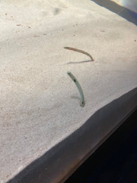 アクアワールド茨城県大洗水族館に投稿された画像（2022/8/14）